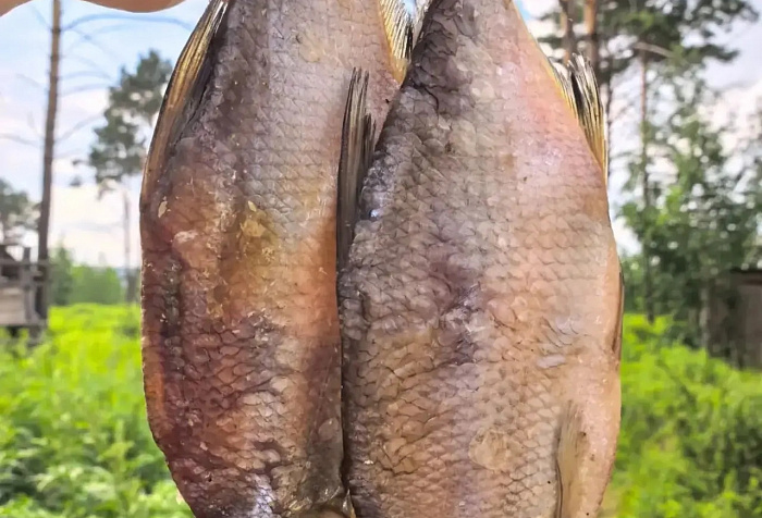 Царская Уха