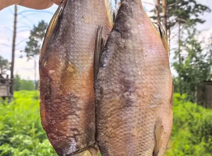 Царская Уха